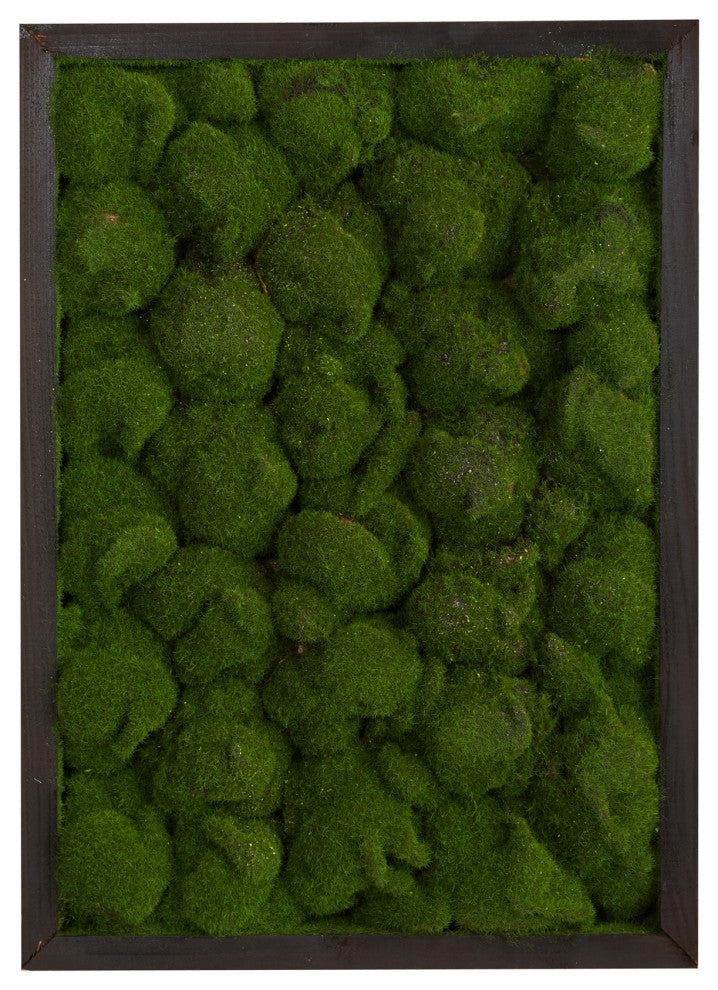 17" X 24" Artificial Moss Hanging Frame
