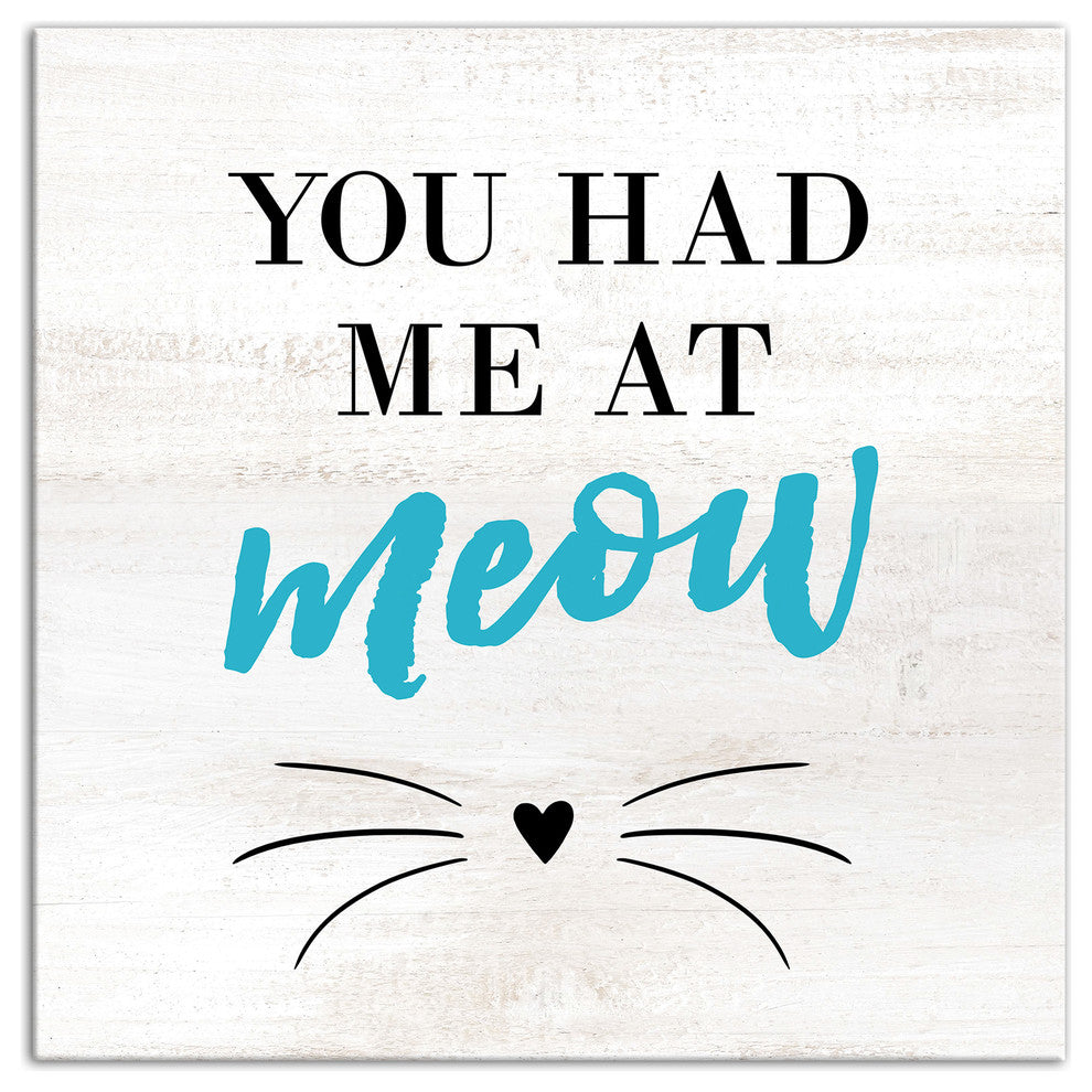 Designs Direct Had Me At Meow 20x20 Canvas Wall Art