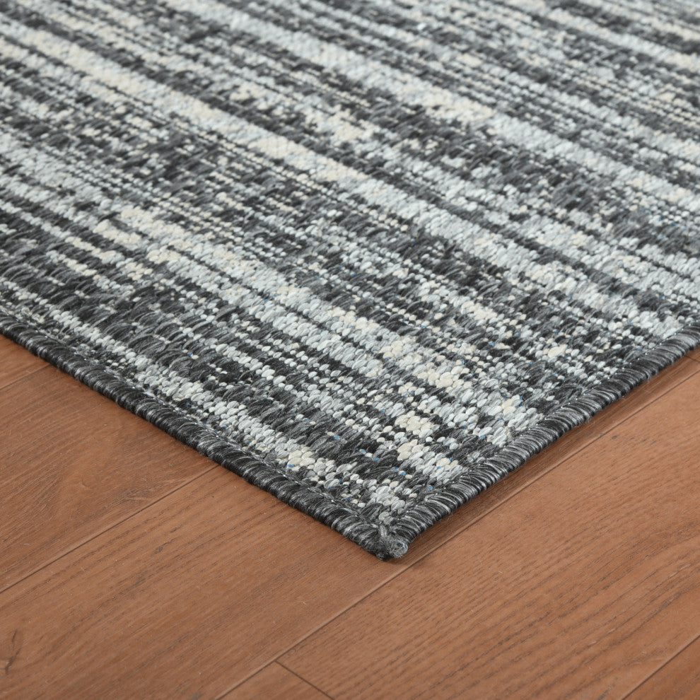 Maryland Cecil Indoor/Outdoor Area Rug, Gray, 2' x 3', Striped