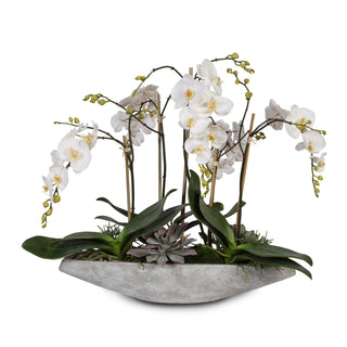 Real Touch White Phalaenopsis  Orchids, Stone Boat Pot