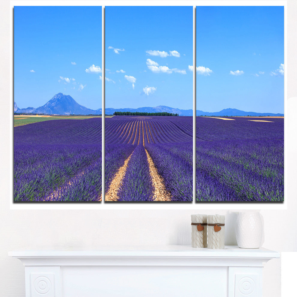 "Lavender Blooming Fields and Trees" Metal Wall Art, 3 Panels, 36"x28"