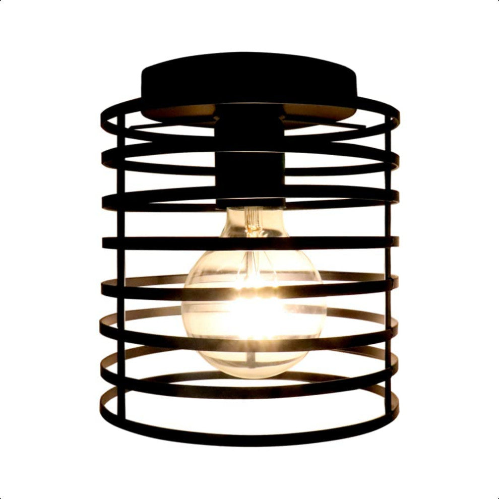 Small Cage Ceiling Light Fixture, Rust, Black, Industrial