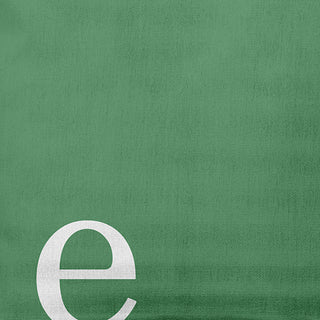 20" x 20" Modern Monogram Indoor/Outdoor Polyester Throw Pillow, Sage