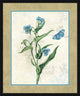 "Booked Blue I" By Katie Pertiet, Framed Wall Art, Ready to Hang