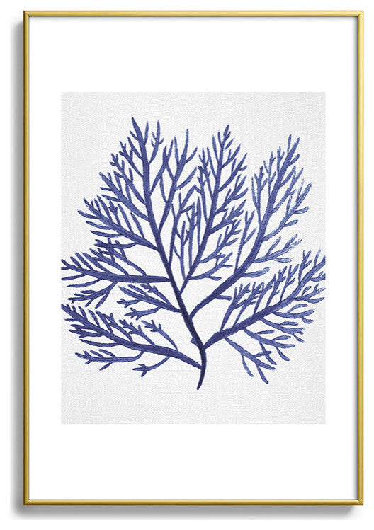 Gal Design Seaweed 9 Metal Framed Art Print