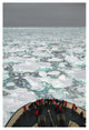 Passengers On Bow Of Russian Icebreaker, Ross Sea, Antarctica-Paper Art