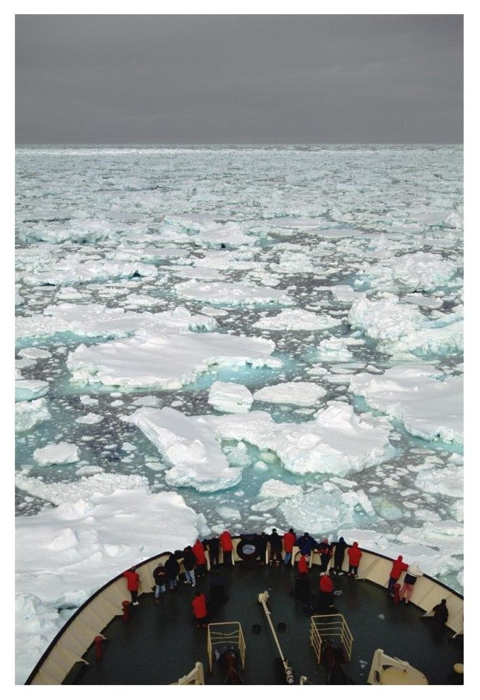 Passengers On Bow Of Russian Icebreaker, Ross Sea, Antarctica-Paper Art