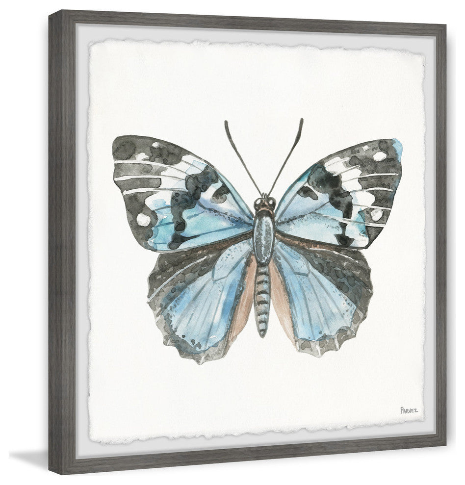 "Ocean Blue Shade Butterfly" Framed Painting Print, 18"x18"