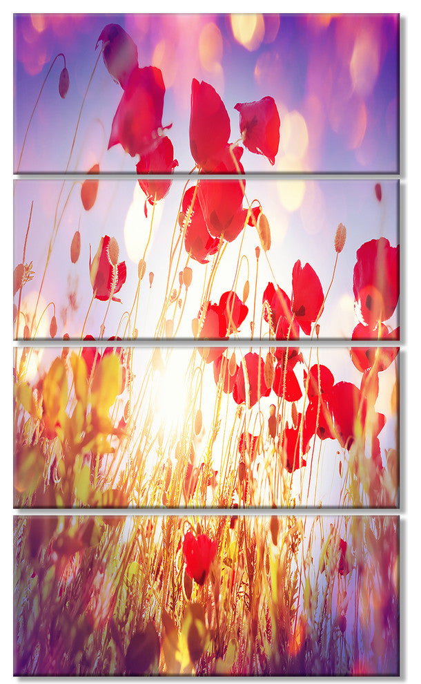 Poppy Flowers on Blue Background, Large Flower Canvas Print, 28"x48", 4 Panels
