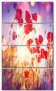 Poppy Flowers on Blue Background, Large Flower Canvas Print, 28"x48", 4 Panels