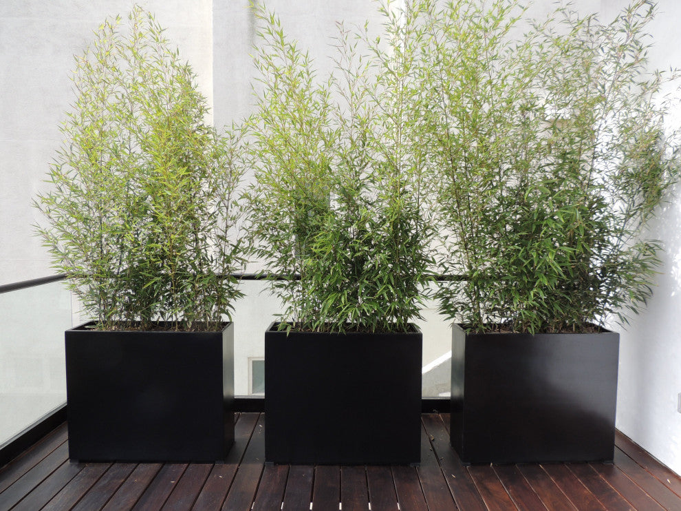 Dixon Square Cube Planter Box, Black, 15"x15"x15"