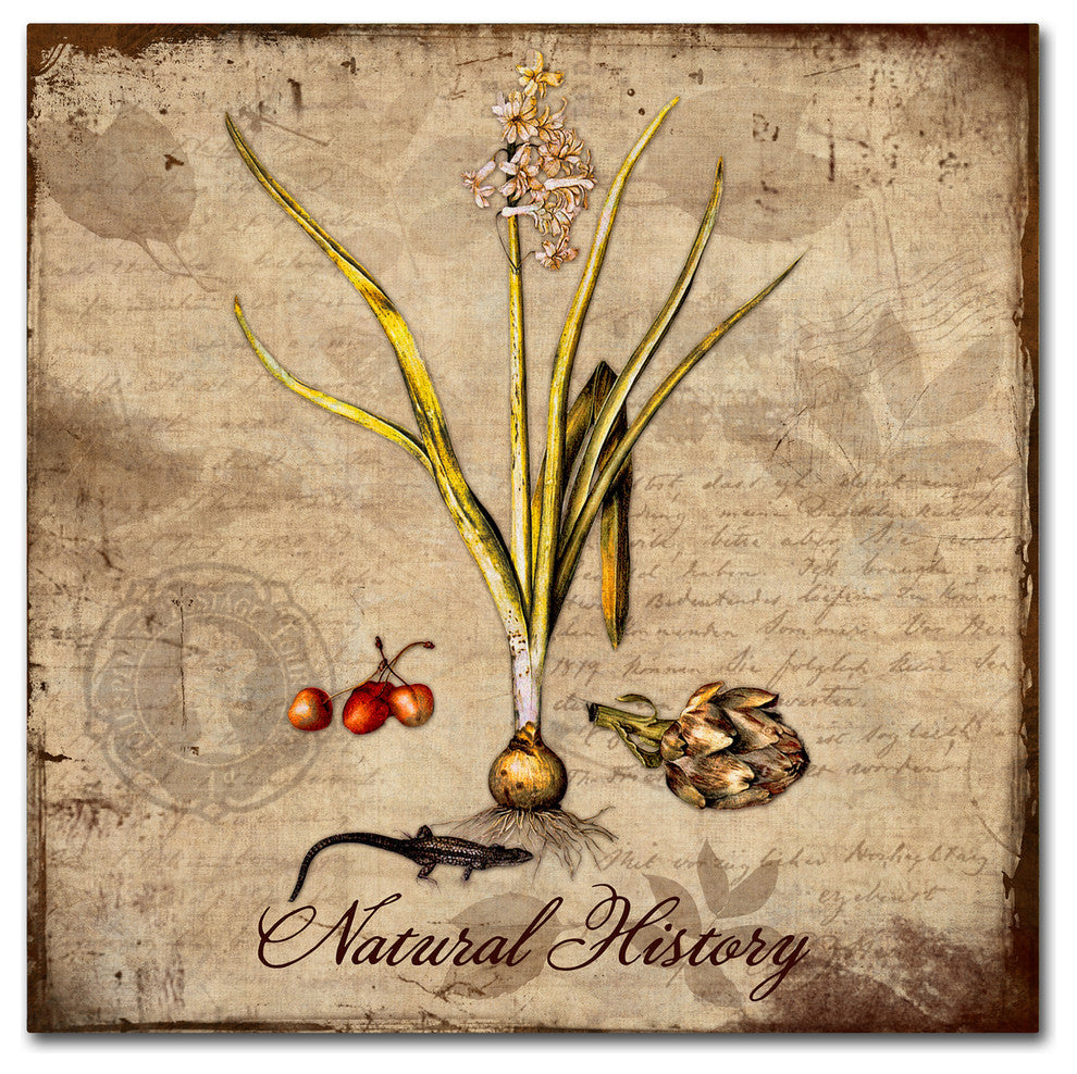 Tina Lavoie 'Natural History' Canvas Art, 18" x 18"