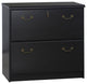 Saint Birch Transitional Wood Lateral File Cabinet in Espresso