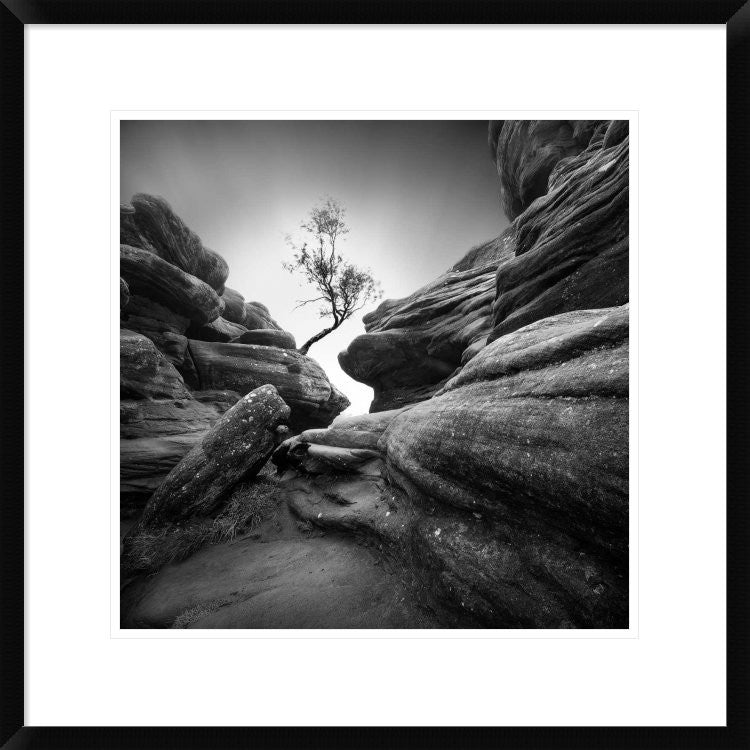 "Struggle" Framed Digital Print by Sainty, 24x24"