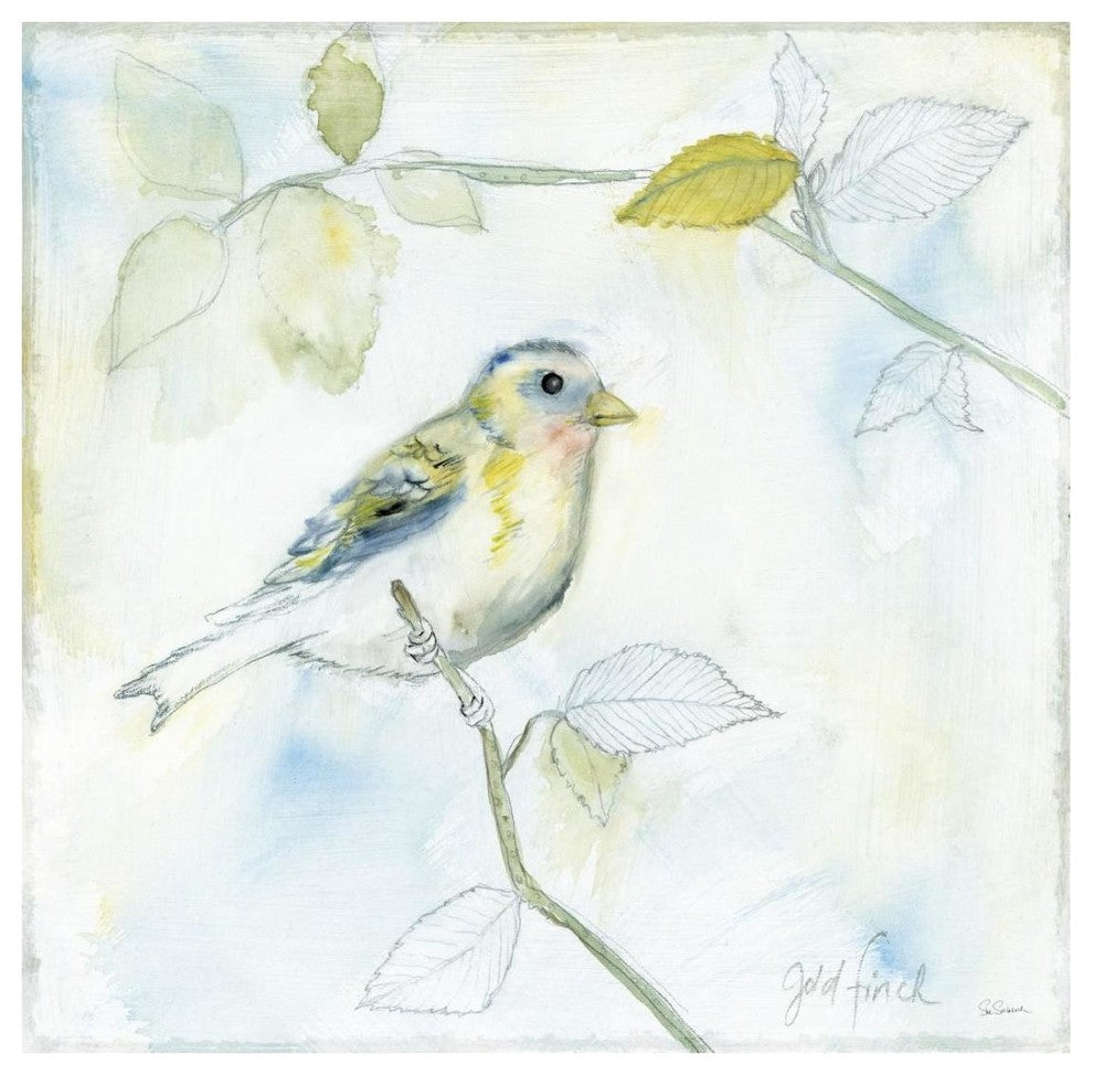 "Sketched Songbird I" Digital Paper Print by Sue Schlabach, 26"x26"