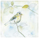 "Sketched Songbird I" Digital Paper Print by Sue Schlabach, 26"x26"