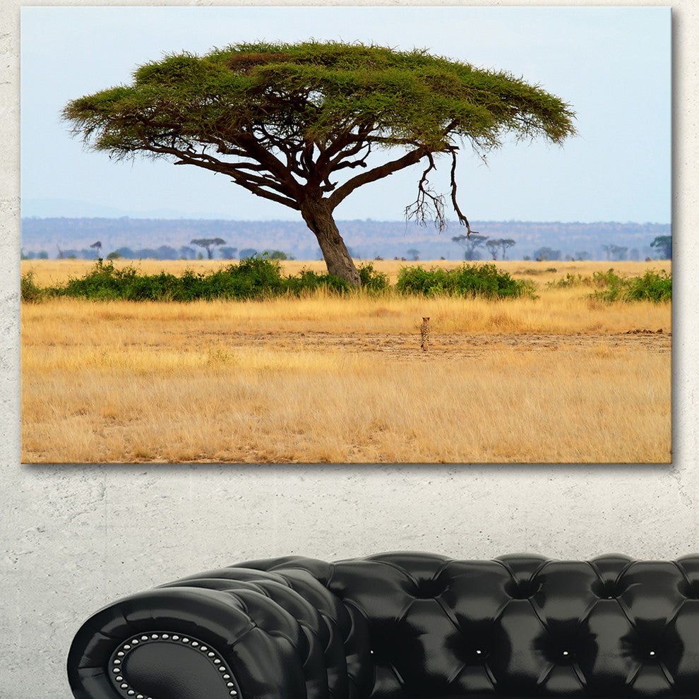 Acadia Tree and Cheetah in Africa, African Landscape Canvas Art, 40"x30"
