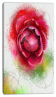 Large Blooming Red Rose on White, Flowers Canvas Wall Artwork, 16"x32"