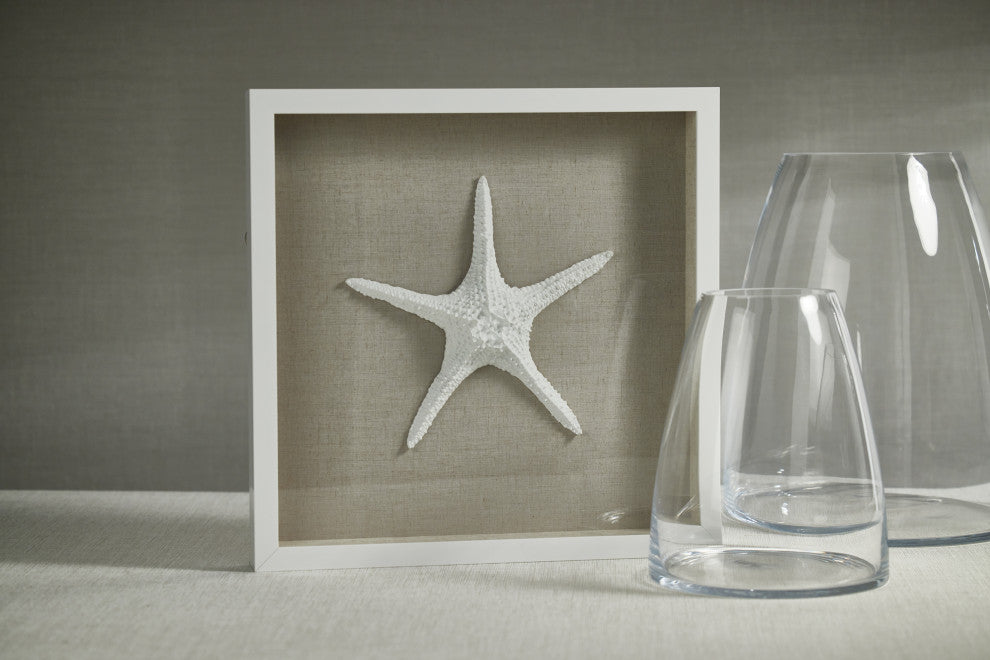Aran White Framed Starfish Wall Decor