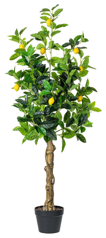 Full product on white background; clear view of entire tree with pot.