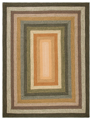 Safavieh Braided BRD308 Rug Machine-Washable, Multi, 6'x8'