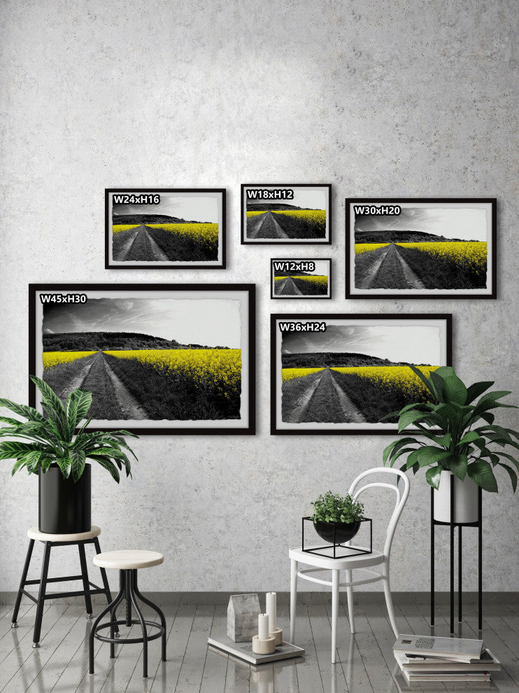 "Wild Yellow Fields" Framed Painting Print, 12x8