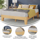 Evelyn Wood Platform Bed with Wooden Support Slats, No Box Spring Required, Natural, Full