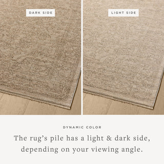 Loloi Newman Taupe / Bone 18" x 18" Sample Rug