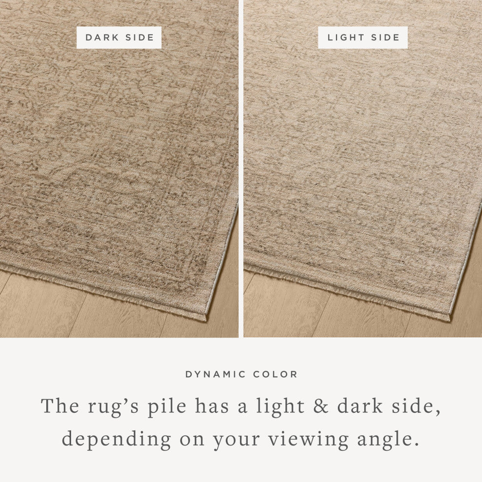 Loloi Newman Taupe / Bone 18" x 18" Sample Rug