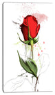 Red Rose Hand drawn Illustration, Floral Canvas Art Print, 16"x32"