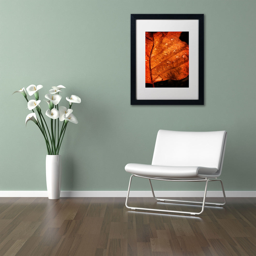 ''Autumn Droplets'' Matted Framed Canvas Art by Philippe Sainte-Laudy