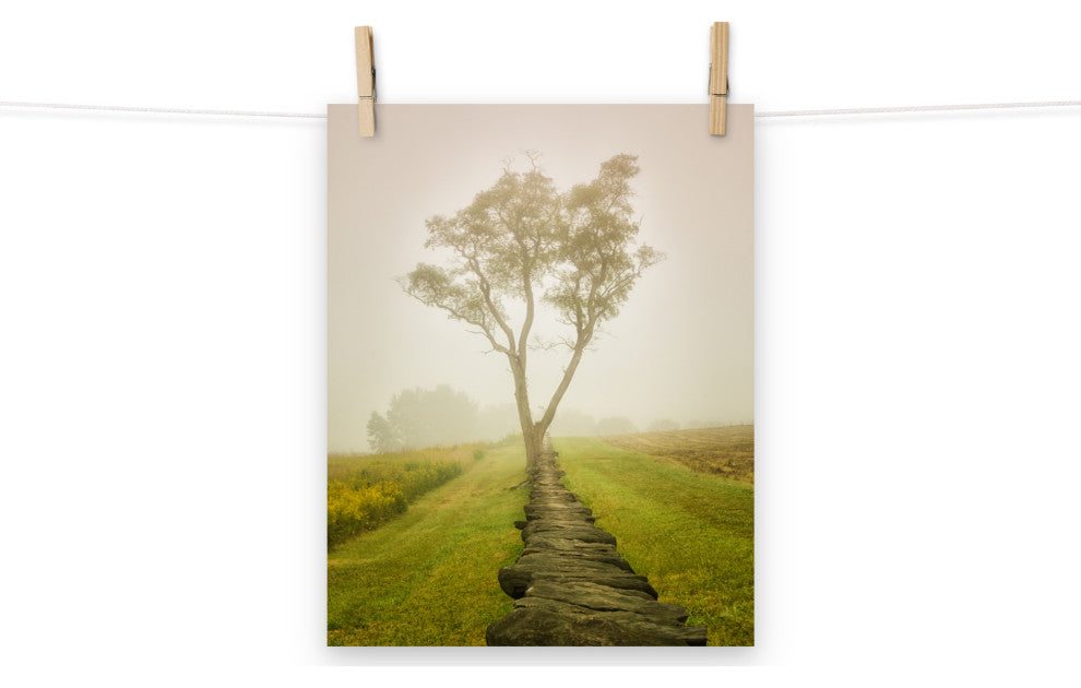 Wall Art Print Landscape Photograph Calming Morning Rural Unframed, 11" X 14"