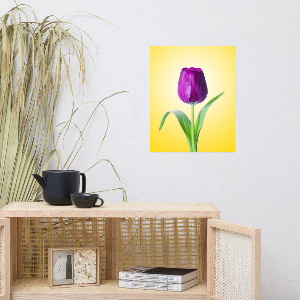 Purple Tulip on Yellow Minimal Floral Nature Photo Loose Wall Art Print, 16" X 20"