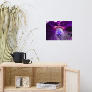 Eye of Iris Nature Photography, Floral Unframed Wall Art Print, 12" X 16"