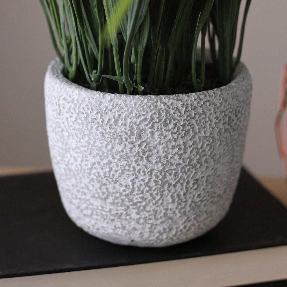 Close-up on white background focusing on the grass/texture area.