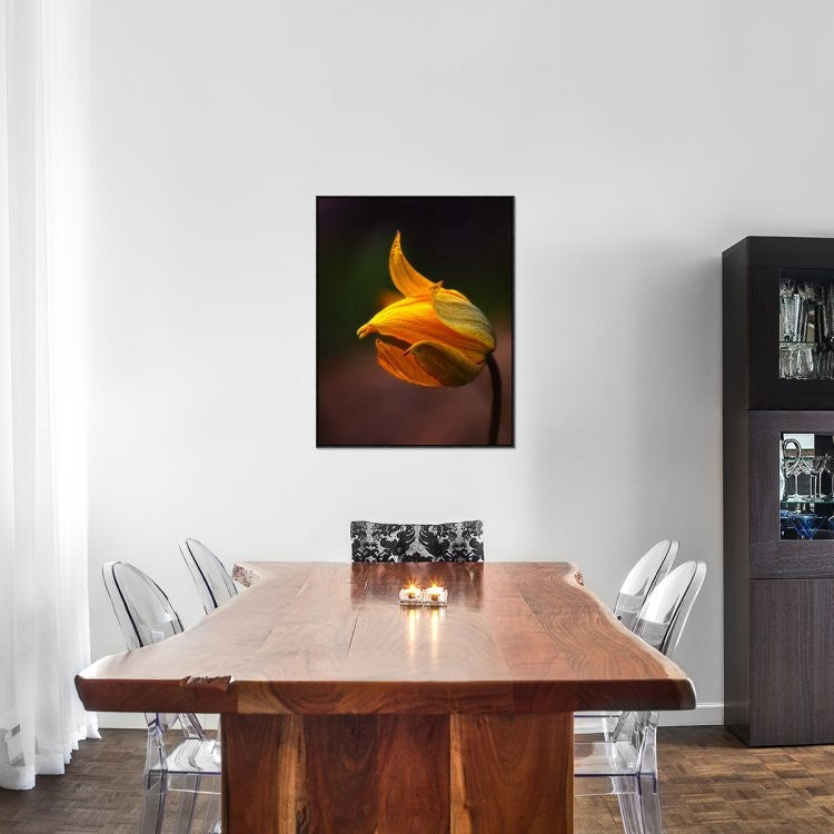 "Shine" Framed Canvas Giclee by Kent Mathiesen, 29x37"