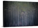 "Reach for the Sky" Wrapped Canvas Art Print, 36"x24"x1.5"