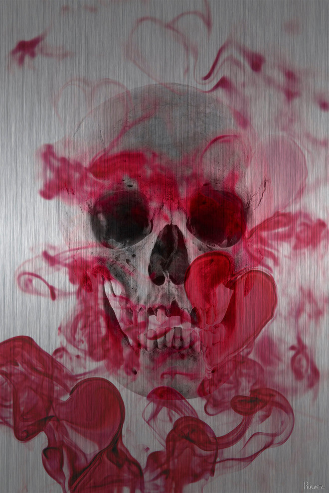 "Skull 2" UV Ink Print on Brushed  Aluminum, 24"x36"
