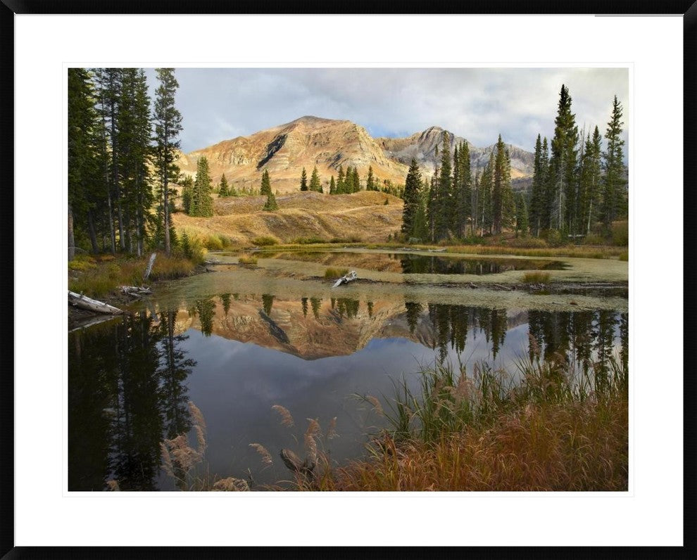 Ruby Range Reflected In Pond, Raggeds Wilderness, Colorado, 38"x30"