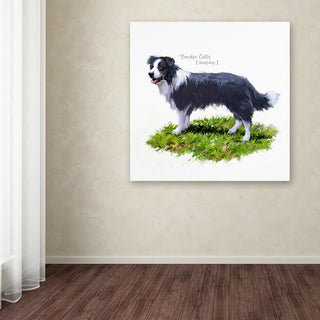 The Macneil Studio 'Border Collie' Canvas Art, 18"x18"