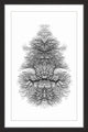 "Branching Out" Framed Painting Print, 12x18