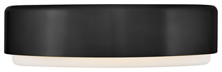 Hinkley Cedric Medium Flush Mount, Black