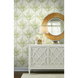 Bird Of Paradise Wallpaper