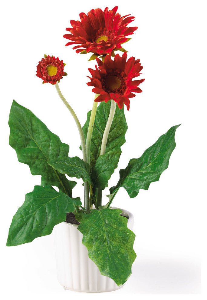 Gerber Daisy With White Vase, Set of 6
