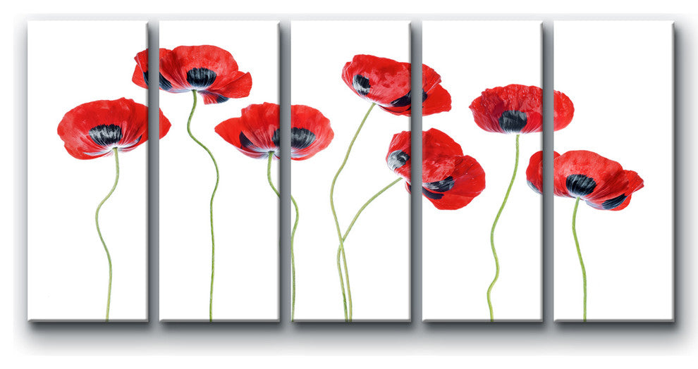 Ready2HangArt 'Ladybird Poppies' 5-Piece Canvas Wall Decor Set