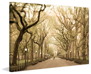"I Can Hear You Calling" Painting Print on Wrapped Canvas