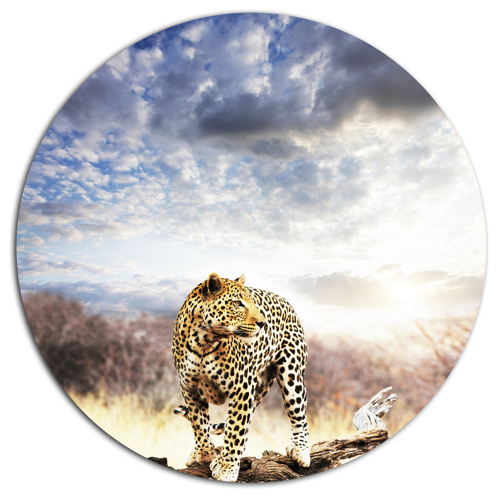 Leopard Walking Under Cloudy Sky, African Round Metal Wall Art, 11"