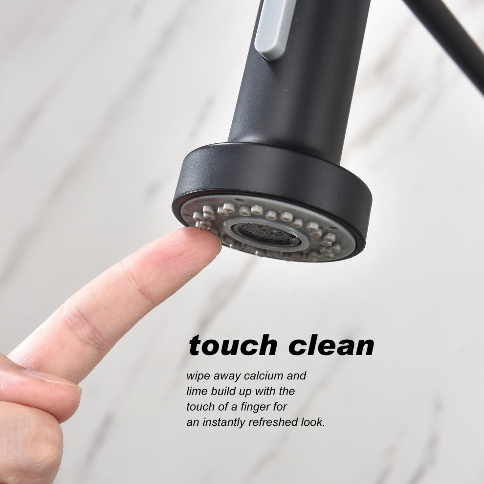 Wellfor Single Handle Kitchen Sink Faucet With Pull Down Sprayer
