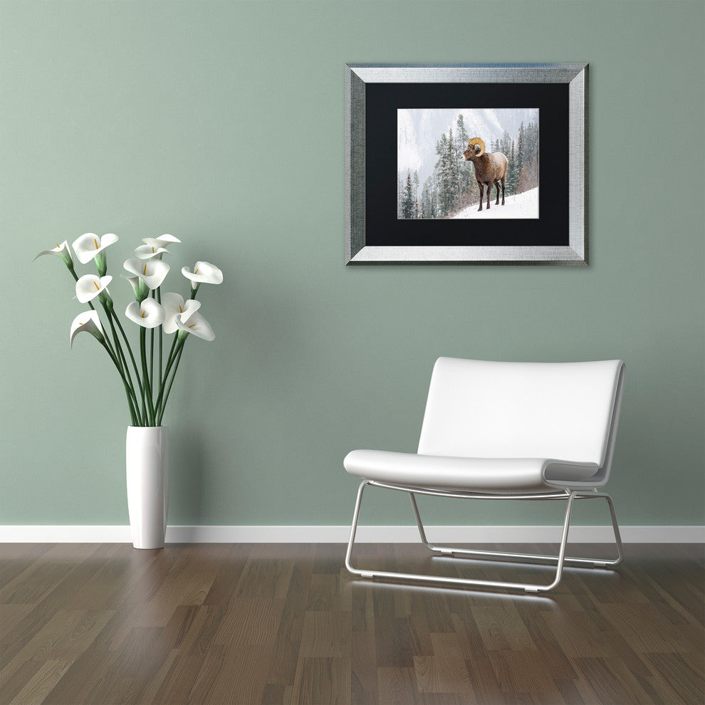 Michael Blanchette 'Bighorn in Snow' Art, Silver Frame, Black Mat, 20x16