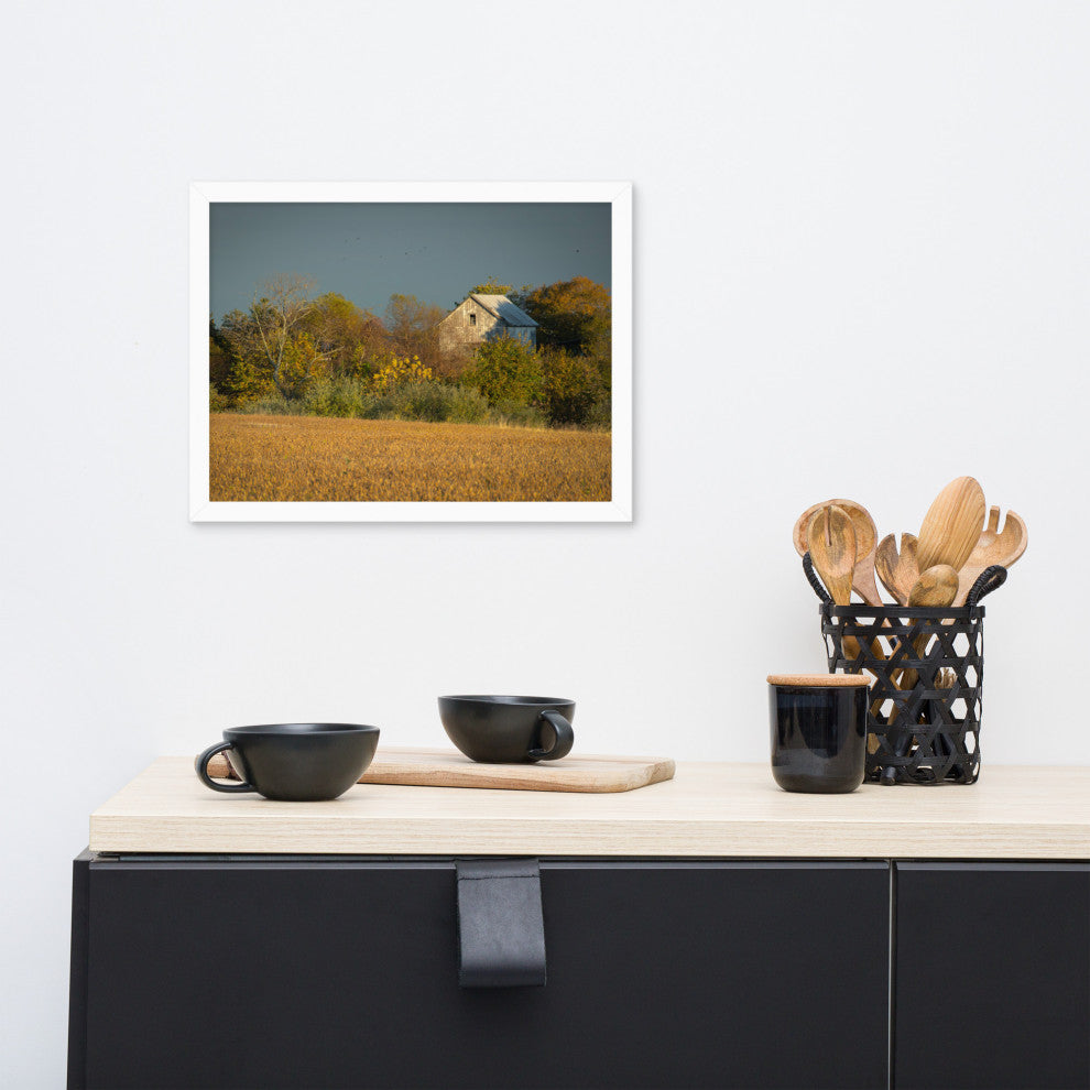 Abandoned Barn In The Trees Framed Photo Paper Wall Art Prints, White, 12" X 16"